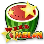 Wild Melon